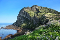 jeju-gcb7c0a630_640.jpg